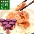 岩手県から直送 天然・無添加 ごろっとほぐし 紅鮭 100g×6本セット 送料無料 紅サケ 鮭ほぐし 鮭フレーク ご飯のお供 ごはんのお供