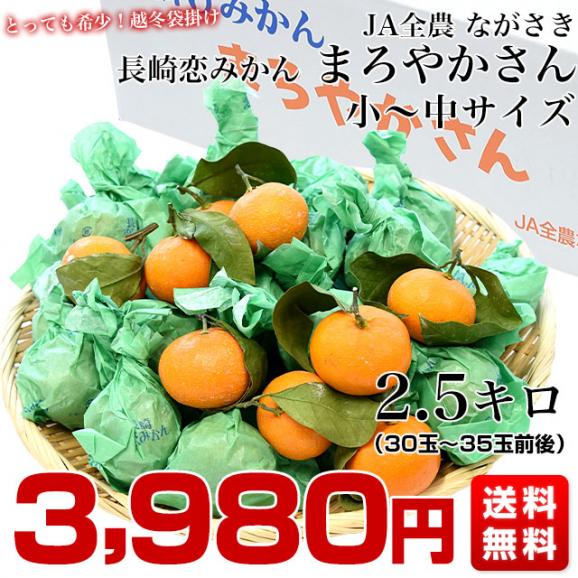 JA全農　ながさき　越冬袋掛け　長崎恋みかん　まろやかさん　約2.5キロ　小～中サイズ（30玉～35玉前後）送料無料 ミカン 早生みかん 袋掛けみかん03
