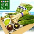おきなわ果物・おきなわ島野菜　丸ごと　セットボックス！（パッションフルーツ2個・アテモヤ・ゴーヤ2本・さやいんげん・島らっきょ・モロヘイヤ）