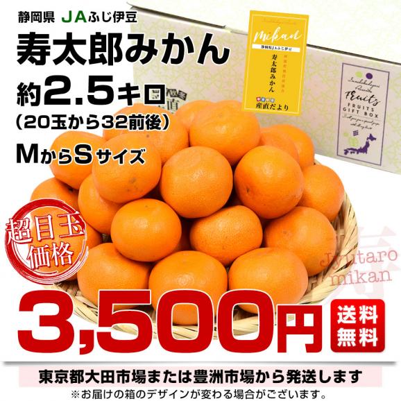静岡県産 JAふじ伊豆 寿太郎みかん MからSサイズ 約2.5キロ(20玉から32玉前後)　市場スポット みかん ミカン03