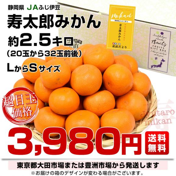 静岡県産 JAふじ伊豆 西浦柑橘出荷部会 寿太郎みかん ＬからSサイズ 約2.5キロ（20玉から32玉前後）市場スポット みかん ミカン03