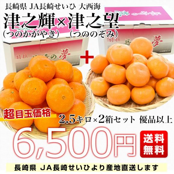長崎県より産地直送 JA長崎せいひ 津之輝（つのかがやき）×津之望(つののぞみ) 優品 2.5キロ×2箱セット 柑橘 オレンジ 津の輝 津の望 西彼 伊木力 大西海　from九州03