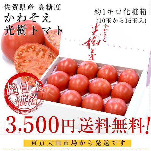 佐賀県産 高糖度 かわそえ光樹トマト 約1キロ化粧箱入 (10玉から16玉入) 送料無料 市場発送03