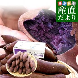 茨城県産 JAなめがたしおさい 行方の紫福（なめがたのしふく）品種名：ふくむらさき Mサイズ 約5キロ（18本前後） 送料無料 さつま芋 さつまいも サツマイモ 薩摩芋 紫芋 むらさき芋 市場発送
