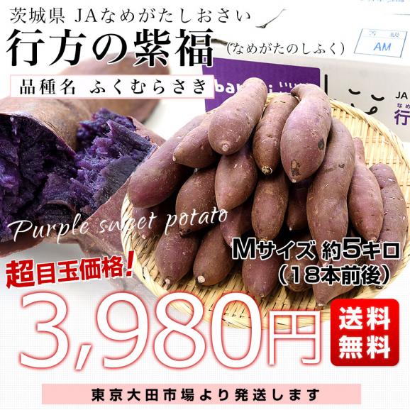 茨城県産 JAなめがたしおさい 行方の紫福（なめがたのしふく）品種名：ふくむらさき Mサイズ 約5キロ（18本前後） 送料無料 さつま芋 さつまいも サツマイモ 薩摩芋 紫芋 むらさき芋 市場発送03