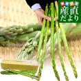 香川県より産地直送 JA香川県アスパラ さぬきのめざめロング（約50センチ）5本入り（80g/本×5本） 春芽 送料無料 丸亀市他 アスパラガス 50センチアスパラガス