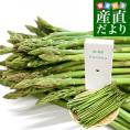 香川県より産地直送 JA香川県アスパラ さぬきのめざめ セミロング（約30センチ）訳ありご家庭用（細Aサイズ）1キロ入り 送料無料 丸亀市他 30センチアスパラガス