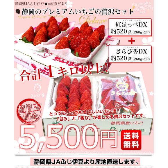 静岡県より産地直送 JAふじ伊豆 紅ほっぺ DX＋きらぴ香 DX（260g&times;4P）送料無料 いちご イチゴ 苺 ※クール便発送03