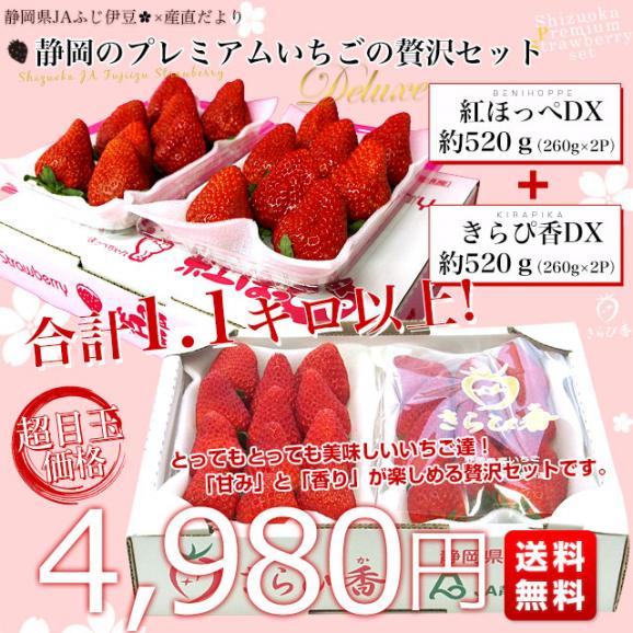 静岡県より産地直送 JAふじ伊豆 紅ほっぺ DX＋きらぴ香 DX（ 260g×4P）送料無料 いちご イチゴ 苺 ※クール便発送03