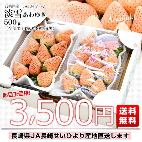 長崎県より産地直送 JA長崎せいひ「淡雪（あわゆき）」1箱約500g（合計16粒から30粒前後）送料無料 苺 イチゴ 白いちご 長崎西彼農協　from九州03