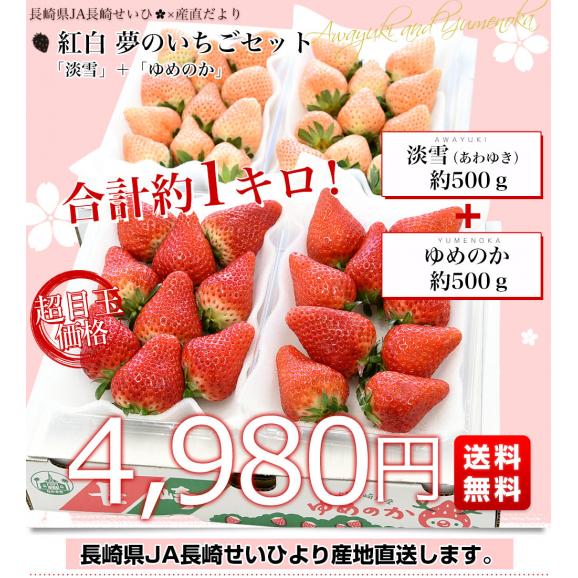 長崎県より産地直送 JA長崎せいひ　紅白 夢のいちごセット「淡雪」１箱約500g＋「ゆめのか」１箱約500g 送料無料 苺 イチゴ 白いちご 紅白いちごセット 長崎西彼農協　from九州03