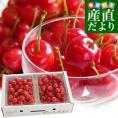 山形県より産地直送 さくらんぼ佐藤錦 大粒Lサイズ　秀品1キロ (500g×2P入) 送料無料 クール便　サクランボ　桜桃