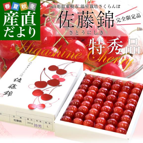 山形県より産地直送 温室栽培さくらんぼ 佐藤錦特秀品 300g 山形県より産地直送 温室栽培さくらんぼ 佐藤錦特秀品 300g