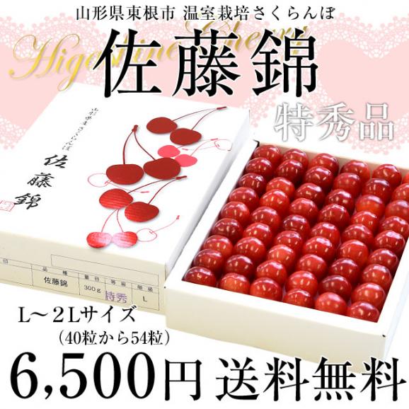山形県より産地直送 温室栽培さくらんぼ 佐藤錦特秀品 300g手詰め化粧箱 (40粒から54粒) 送料無料 桜桃 さとうにしき 03
