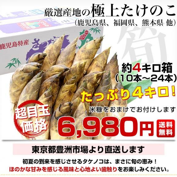厳選産地の極上たけのこ 約4キロ（10本から24本）鹿児島県 熊本県 福岡県産 他　クール便　タケノコ 孟宗竹 市場発送　送料無料03