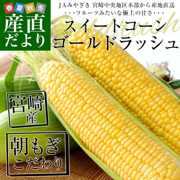 宮崎県より産地直送 JAみやざき宮崎中央地区本部 とうもろこし(ゴールドラッシュ) 2LからLサイズ 4.5キロ (13本から15本) 送料無料 とうきび  from九州 スイートコーン ※クール便02