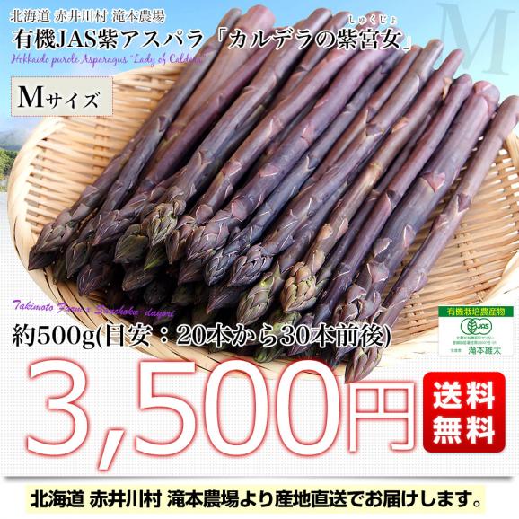 北海道より産地直送 赤井川村滝本農場の有機JAS　紫アスパラ「 カルデラの紫宮女」Mサイズ 約500g入り 送料無料 アスパラガス ※クール便発送03