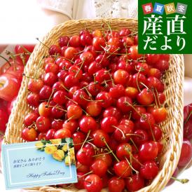 【父の日ギフト】 山形県より産地直送！ さくらんぼ 佐藤錦 ○秀品 大ボリューム1.2キロ Lサイズ（300g×4パック） 送料無料 クール便　サクランボ　桜桃