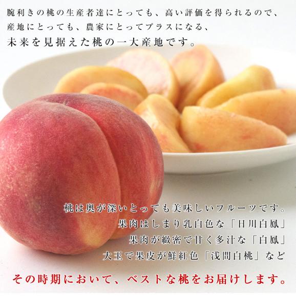 山梨県産　ＪAフルーツ山梨　山梨ブロック　加納岩統一共撰所　ぴー一番 桃「信玄（特秀品）」　約2キロ　送料無料　お中元　ギフト06