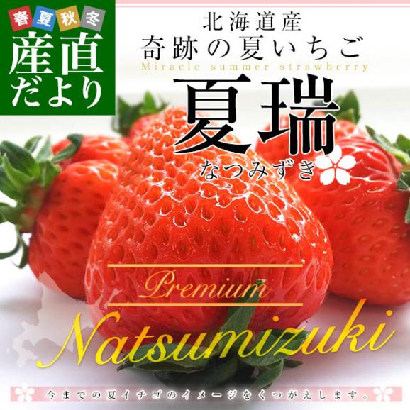 北海道より産地直送 高級いちご 夏瑞（なつみずき）プレミアム　約200g（5粒）×2パック　化粧箱入り イチゴ 苺 夏イチゴ02