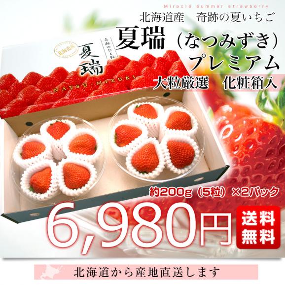 北海道より産地直送 高級いちご 夏瑞(なつみずき)プレミアム 約200g(5粒)×2パック 化粧箱入り イチゴ 苺 夏イチゴ 送料無料03