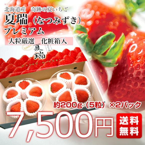 北海道より産地直送 高級いちご 夏瑞（なつみずき）プレミアム　約200g（5粒）×2パック　化粧箱入り イチゴ 苺 夏イチゴ03