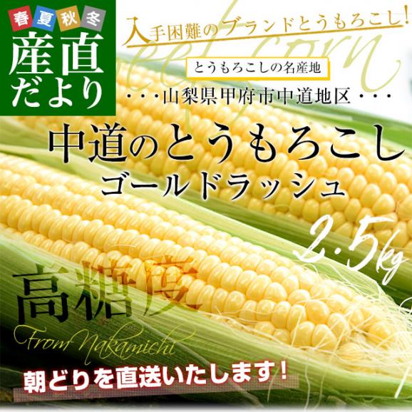 山梨県より産地直送　JAふえふき中道北支所　とうもろこし(ゴールドラッシュ) 約2.5キロ2Lサイズ(6本入)　送料無料　クール便02