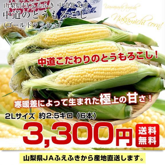 山梨県より産地直送　JAふえふき中道北支所　とうもろこし(ゴールドラッシュ) 約2.5キロ2Lサイズ(6本入)　送料無料　クール便03