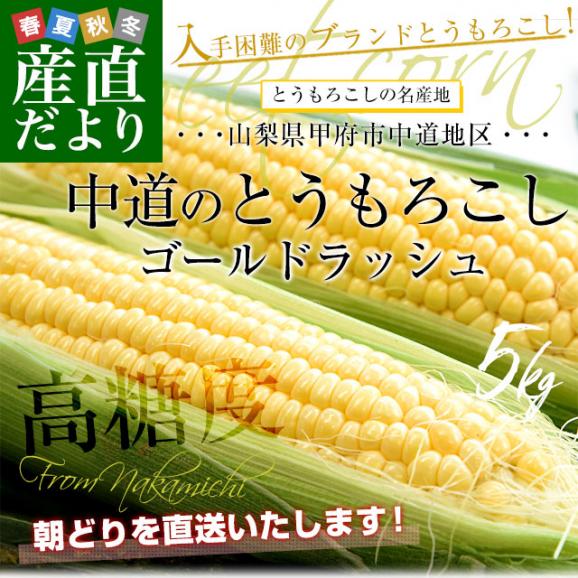 山梨県より産地直送　JAふえふき中道北支所　とうもろこし(ゴールドラッシュ)　約5キロ2Lサイズ(12本入)　送料無料　クール便02