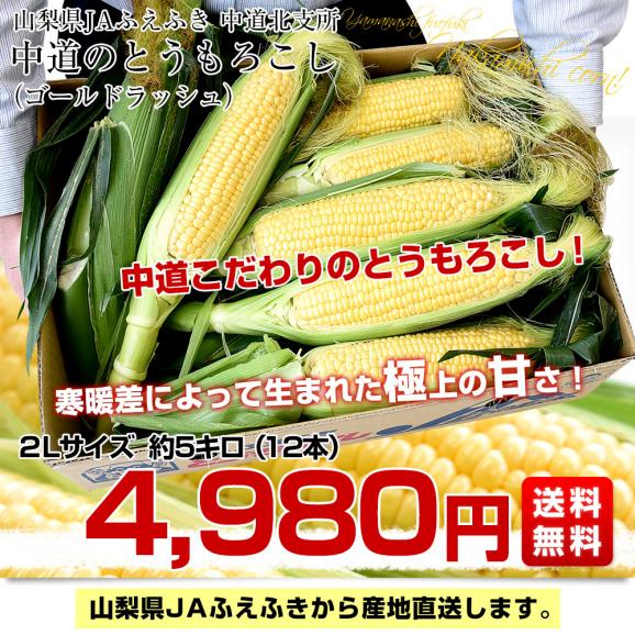 山梨県より産地直送　JAふえふき中道北支所　とうもろこし(ゴールドラッシュ)　約5キロ2Lサイズ(12本入)　送料無料　クール便03