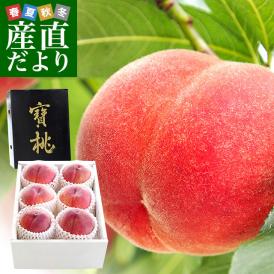 山梨県より産地直送　山梨 JAふえふき中道支所　特秀桃　寶桃（ほうとう）約２キロ（５玉から７玉）もも　桃　モモ　ピーチ　ギフト 夏ギフト お中元 御中元