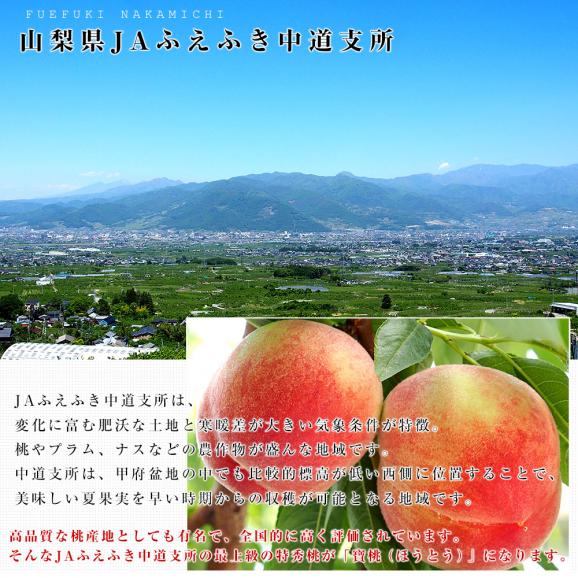 山梨県より産地直送　山梨 JAふえふき中道支所　特秀桃　寶桃（ほうとう）約２キロ（５玉から７玉）もも　桃　モモ　ピーチ　ギフト 夏ギフト お中元 御中元04