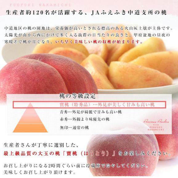 山梨県より産地直送　山梨 JAふえふき中道支所　特秀桃　寶桃（ほうとう）約２キロ（５玉から７玉）もも　桃　モモ　ピーチ　ギフト 夏ギフト お中元 御中元05