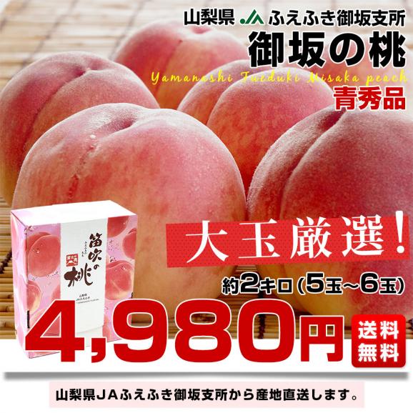 山梨県より産地直送 JAふえふき御坂支所 御坂の桃 超大玉 青秀品 約2キロ（5玉から6玉） 送料無料 もも ピーチ モモ ギフト 夏ギフト お中元 御中元03