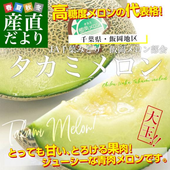 【緊急スポット！】千葉県産 JAちばみどり飯岡メロン部会 タカミメロン(青肉)４Lサイズ以上　秀品　約3キロ箱 (2玉入り) 送料無料　貴味メロン　飯岡メロン　メロン　02