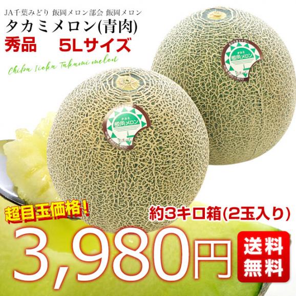 千葉県産 JAちばみどり飯岡メロン部会 タカミメロン(青肉)　秀品 5Ｌサイズ　約3キロ箱 (2玉入り) 送料無料　貴味メロン　飯岡メロン　メロン　市場発送03