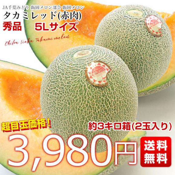 千葉県産 JAちばみどり飯岡メロン部会　タカミレッド （赤肉）秀品 5Ｌサイズ　約3キロ箱（2玉入り） 送料無料　貴味メロン　飯岡メロン　メロン 　市場発送03