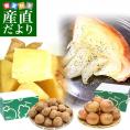 厳選ブランド産地！じゃがいも×玉ねぎ2箱セット（長崎県産 じゃがいも×兵庫県産玉ねぎ　各3キロ）送料無料　ジャガイモ　玉ねぎ　玉葱　馬鈴薯　野菜