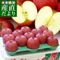 青森県より産地直送 高木商店 マルタカブランド 高木のふじりんご CA貯蔵品 秀A品 約3キロ (9玉から13玉) 送料無料 林檎 リンゴ ※クール便