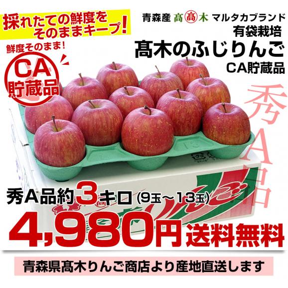 青森県より産地直送 高木商店 マルタカブランド 高木のふじりんご CA貯蔵品 秀A品 約3キロ (9玉から13玉) 送料無料 林檎 リンゴ ※クール便03