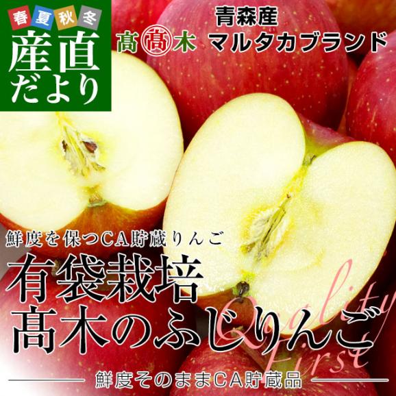 青森県より産地直送 高木商店 マルタカブランド 高木のふじりんご CA貯蔵品 秀A品 約5キロ (16玉から18玉) 送料無料 林檎 リンゴ ※クール便02