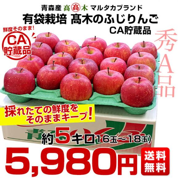 青森県より産地直送 高木商店 マルタカブランド 高木のふじりんご CA貯蔵品 秀A品 約5キロ (16玉から18玉) 送料無料 林檎 リンゴ ※クール便03
