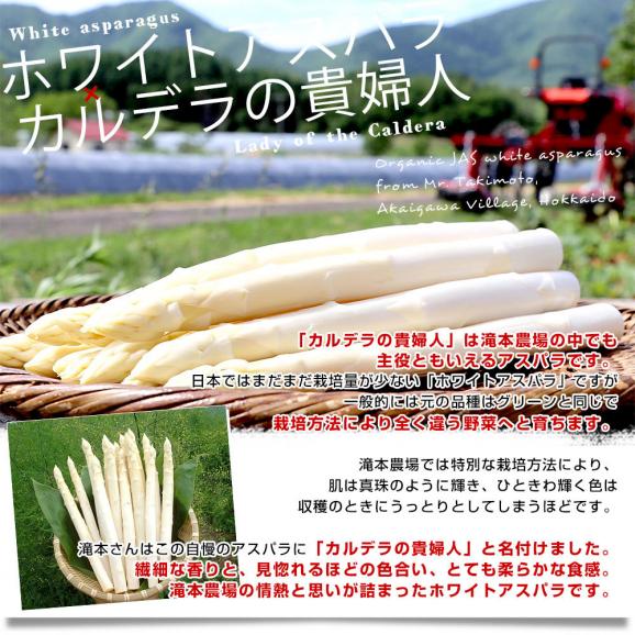 北海道より産地直送 赤井川村 滝本農場の有機JAS認定ホワイトアスパラ 訳あり 大小込み 約1キロ 送料無料 アスパラガス ※クール便発送05