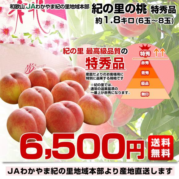 和歌山県より産地直送 JAわかやま紀の里地域本部 紀の里の桃 特秀品 1.8キロ (6玉から8玉) 送料無料 桃 もも03