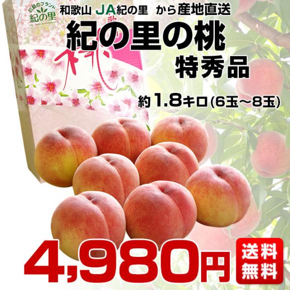 和歌山県より産地直送 JA紀の里 紀の里の桃 特秀品 1.8キロ (6玉から8玉) 送料無料 桃 もも お中元 ギフト03