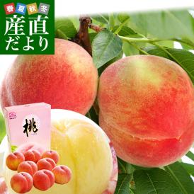 和歌山県より産地直送 JA紀の里 紀の里の桃  赤秀品 1.8キロ (6玉から8玉) 送料無料 桃 もも お中元 ギフト