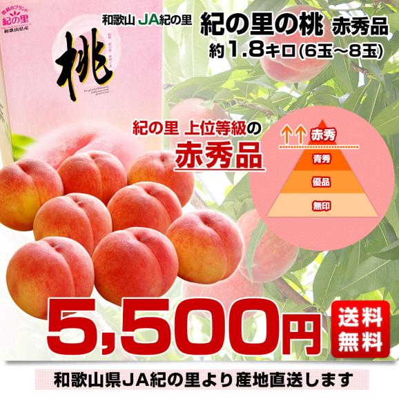 和歌山県より産地直送 JA紀の里 紀の里の桃  赤秀品 1.8キロ (6玉から8玉) 送料無料 桃 もも03