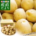 静岡県産 JAとぴあ浜松 三方原馬鈴薯（男爵） Mサイズ 5キロ ばれいしょ じゃがいも ジャガイモ 送料無料