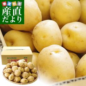 静岡県産 JAとぴあ浜松 三方原馬鈴薯（男爵） Mサイズ 5キロ ばれいしょ じゃがいも ジャガイモ 送料無料