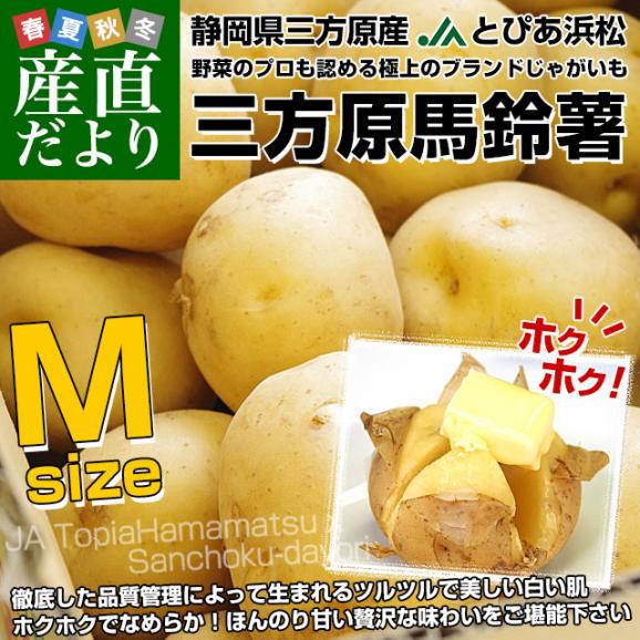 静岡県産 JAとぴあ浜松 三方原馬鈴薯（男爵） Mサイズ 5キロ ばれいしょ じゃがいも ジャガイモ 送料無料02